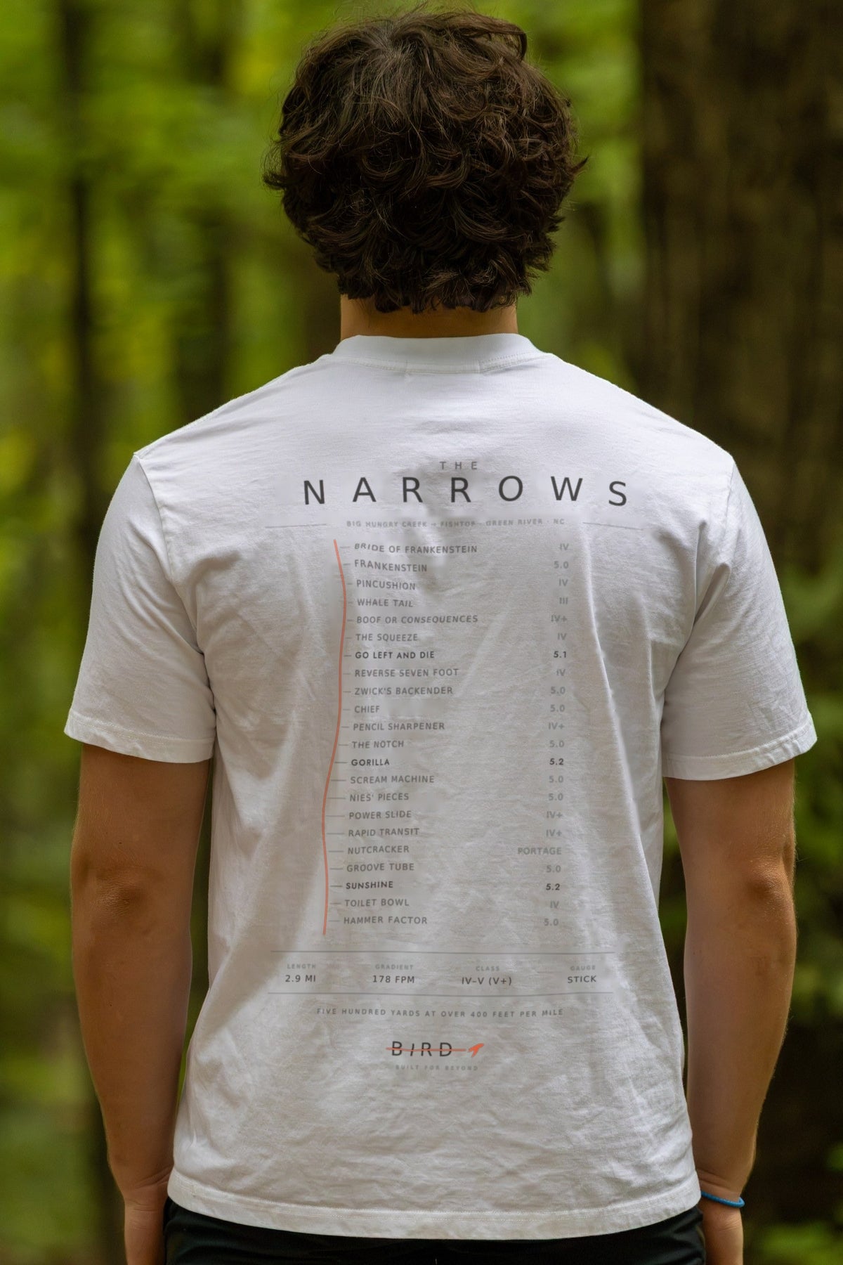 Green Narrows Light tee, White — back print close-up, THE NARROWS rapid list