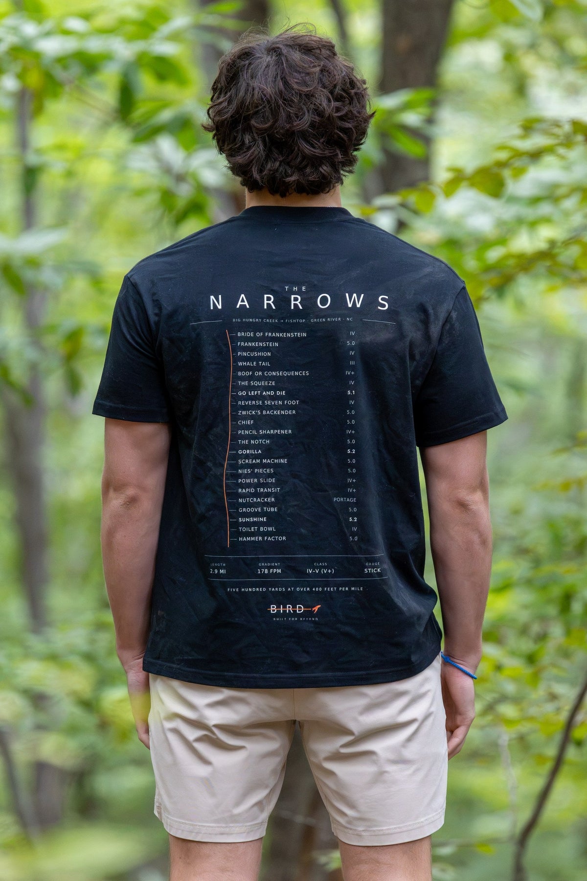 Green Narrows Dark tee, Black — back print close-up, THE NARROWS rapid list