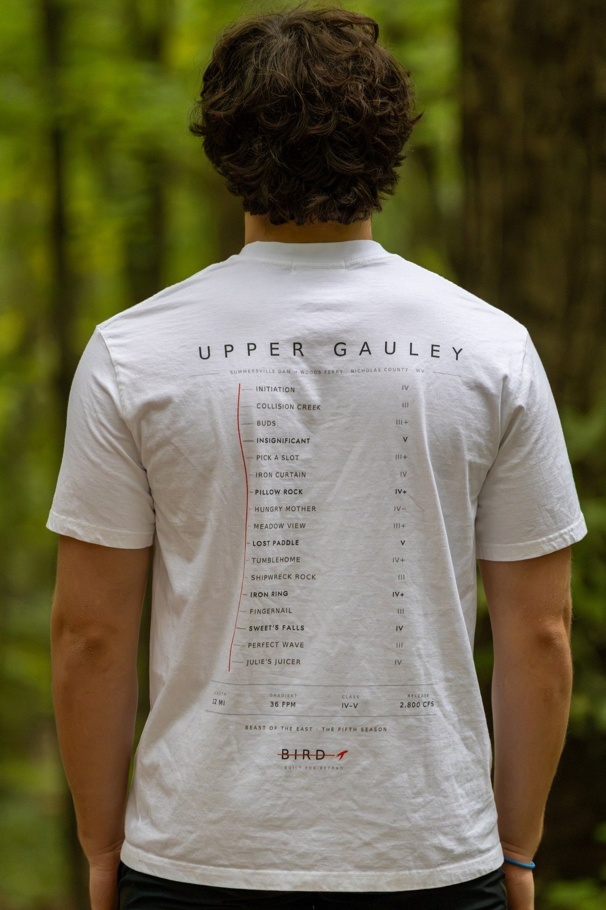 Upper Gauley Light tee, White — back print close-up, UPPER GAULEY rapid list